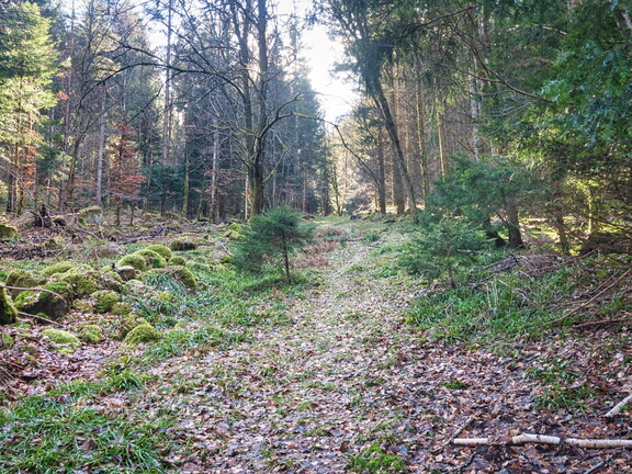 20220205202146-2d3d5116